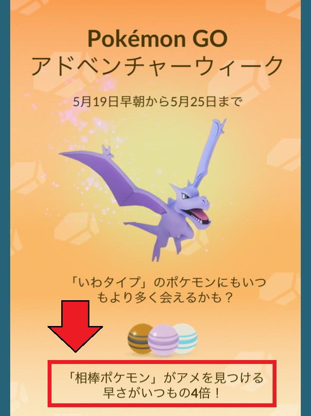 アドベンチャーウィーク