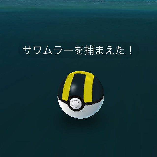 サワムラーを捕まえた